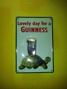 Bierglas Guinness und Schildkröte